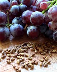Grape Seed Extract